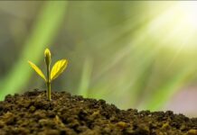 Fabulosa inyección de fondos para startup mexicana Nubank compra Easynvest y entra al gigante mercado de las inversiones