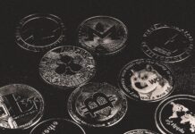 Bitso se convirtió en el primer unicornio centrado en criptomonedas de Latam