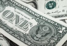 Exchange de criptomonedas argentino recauda 11 millones de dólares Exchange de criptomonedas argentino recauda 11 millones de dólares