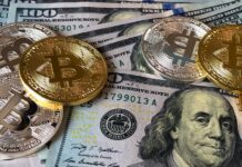 Visa quiere conectar múltiples criptomonedas con canal de pagos universal Visa quiere conectar múltiples criptomonedas con canal de pagos universales