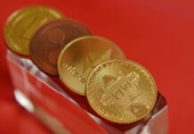 Stripe habilita el pago a autónomos con la moneda estable USDC Stripe habilita el pago a autónomos con la moneda estable USDC