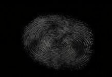 El poder de la identidad digital para el ecosistema fintech