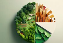 Finanzas sostenibles: nuevas exigencias del consumidor financiero