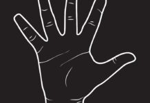 Palm payments: al alcance de la mano