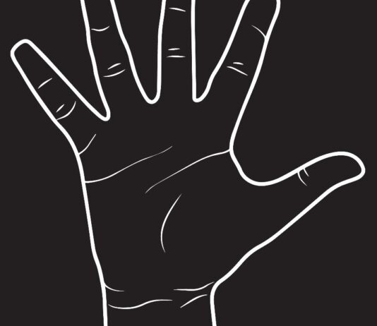 Palm payments: al alcance de la mano