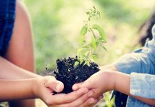 Créditos ESG: futuro sustentable Créditos ESG: futuro sustentable en México y Latam