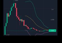 $LIBRA: la estafa cripto y su impacto radioactivo $LIBRA: la insólita estafa y su impacto