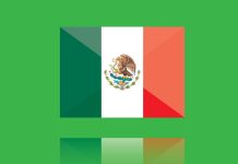 Radiografía financiera de México: inclusión y deudas pendientes Inclusión financiera en México- Radiografía financiera de México: digitalización