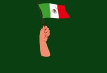 Inclusión financiera en México: nuevo hito Inclusión financiera en México alcanza su nivel más alto desde 2015